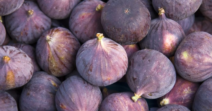 Fichi viola freschi in primo piano, ricchi di zuccheri naturali e fibre che possono influire sui sintomi della colite