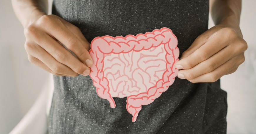 Persona che sorregge un modello di intestino, simbolo dell'importanza della dieta per la gestione della colitee